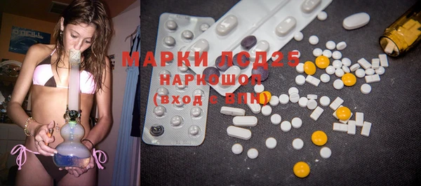 ECSTASY Костерёво