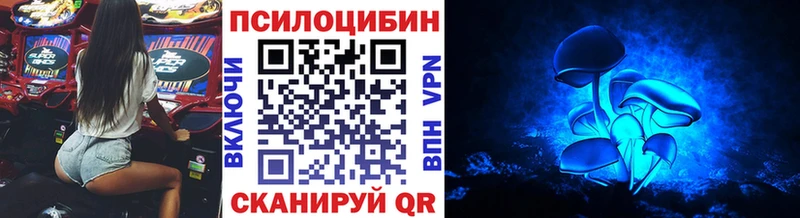 Псилоцибиновые грибы GOLDEN TEACHER  Фролово 