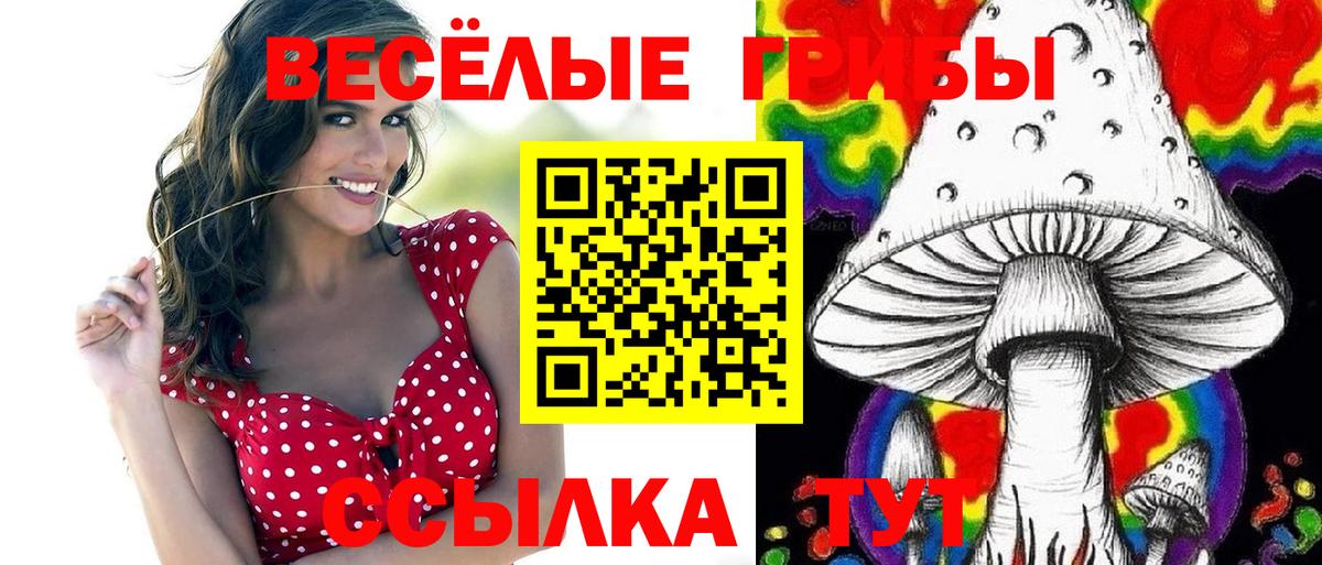 Псилоцибиновые грибы прущие грибы Фролово