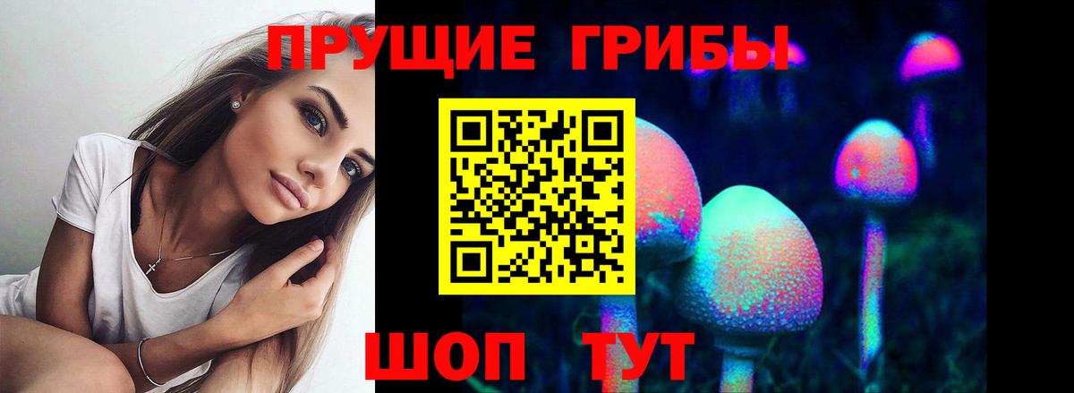 Псилоцибиновые грибы Psilocybine cubensis  Вход с VPN  Фролово 