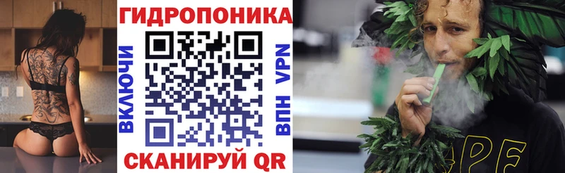Бошки марихуана ГИДРОПОН  продажа наркотиков  Фролово 