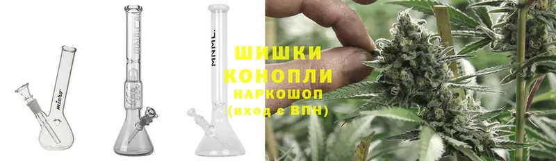 Бошки Шишки THC 21%  наркота  Фролово 